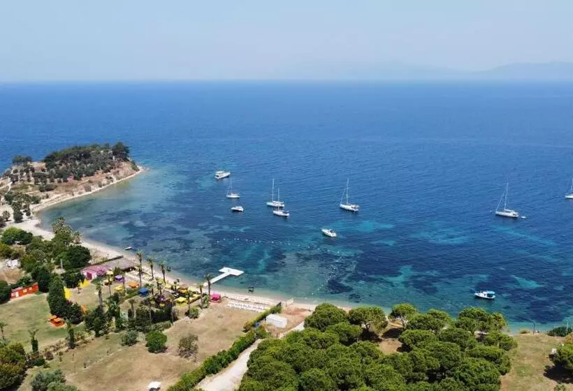 Fotos del hotel Altinsaray:  7