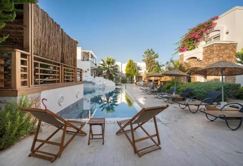 Fotos del hotel Costa Sariyaz:  12