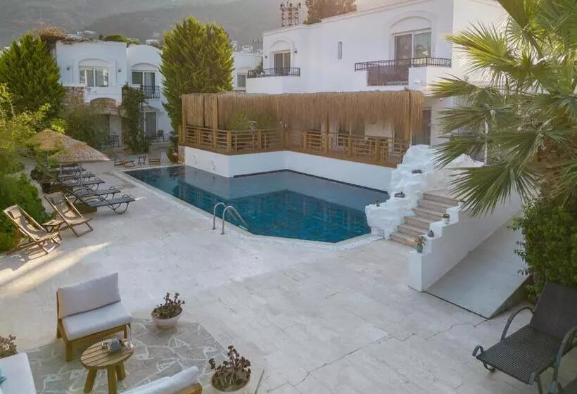 Fotos del hotel Costa Sariyaz:  7