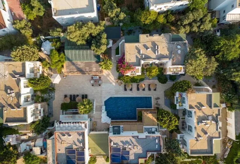 Fotos del hotel Costa Sariyaz:  10