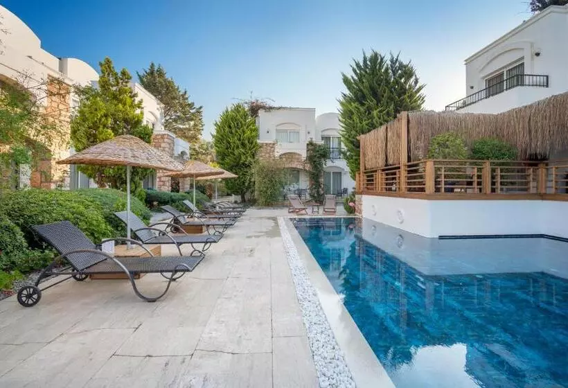 Fotos del hotel Costa Sariyaz:  17