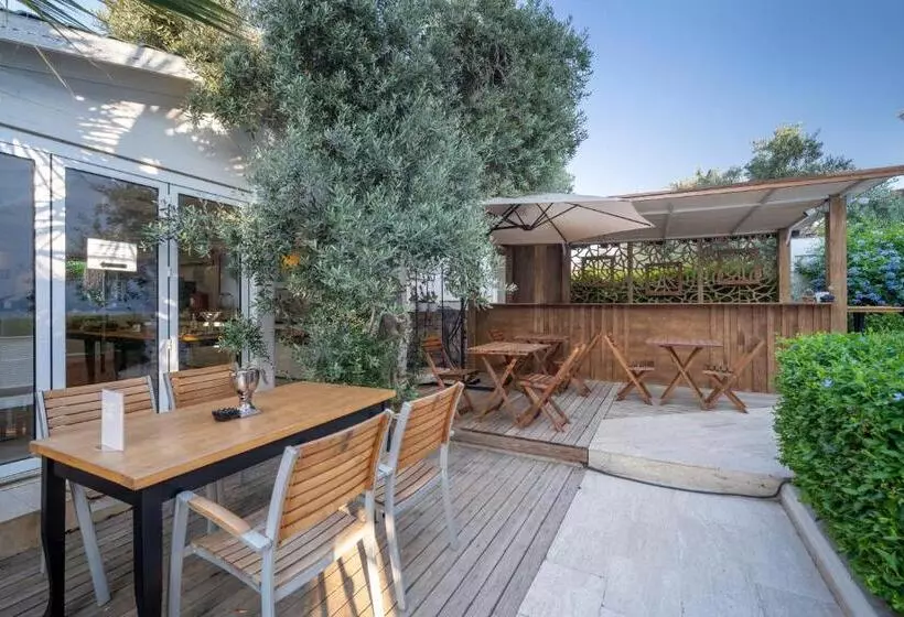 Fotos del hotel Costa Sariyaz:  9