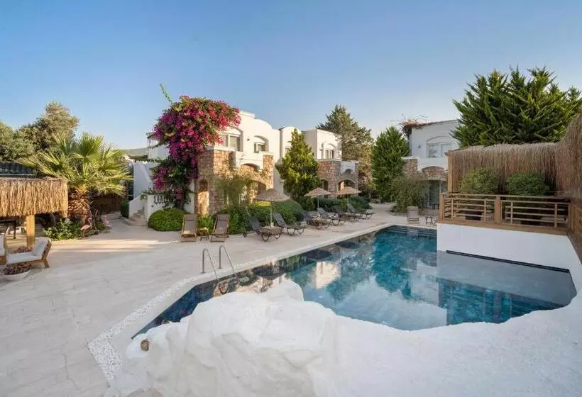 Fotos del hotel Costa Sariyaz:  19