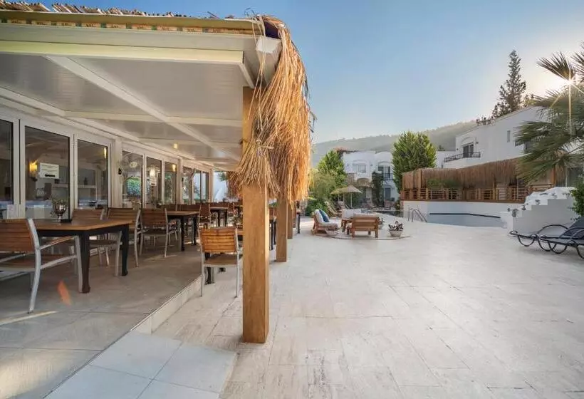 Fotos del hotel Costa Sariyaz:  13