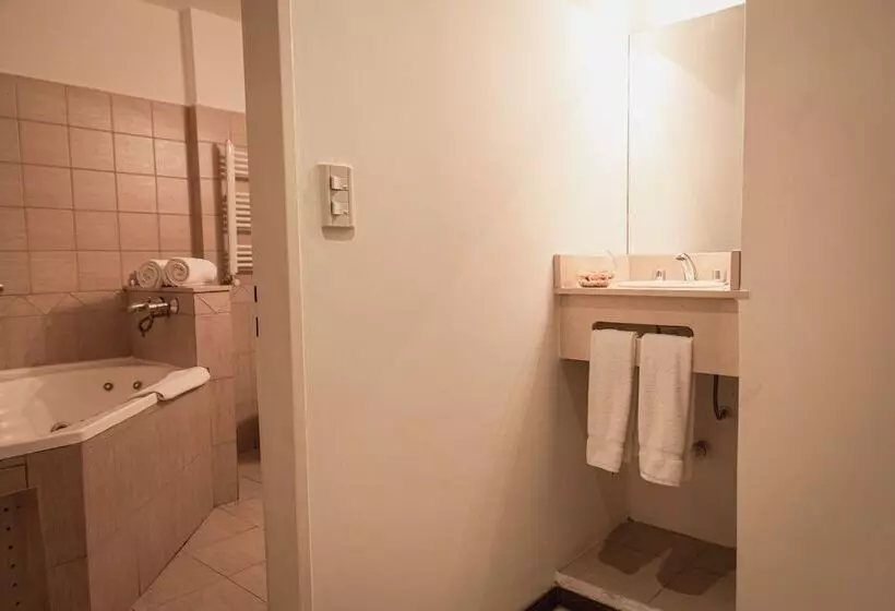 Fotos del hotel Duomi Plaza:  18