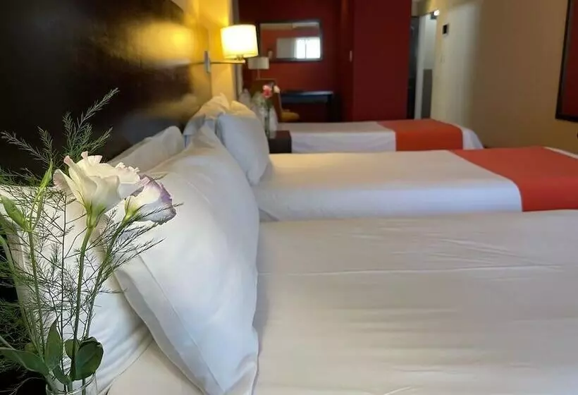 Fotos del hotel Duomi Plaza:  24