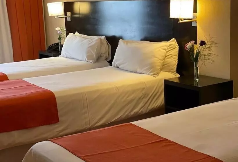 Fotos del hotel Duomi Plaza:  22