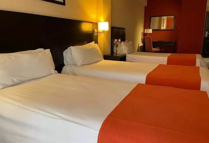 Fotos del hotel Duomi Plaza:  7