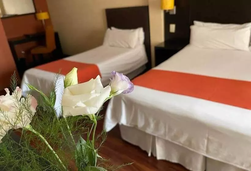 Fotos del hotel Duomi Plaza:  19