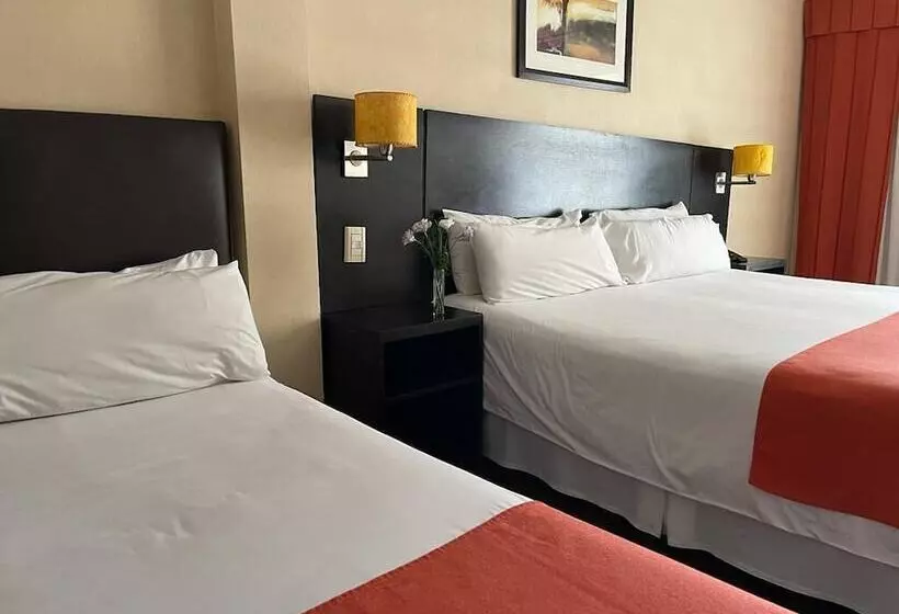 Fotos del hotel Duomi Plaza:  21