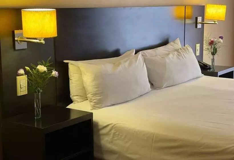 Fotos del hotel Duomi Plaza:  23