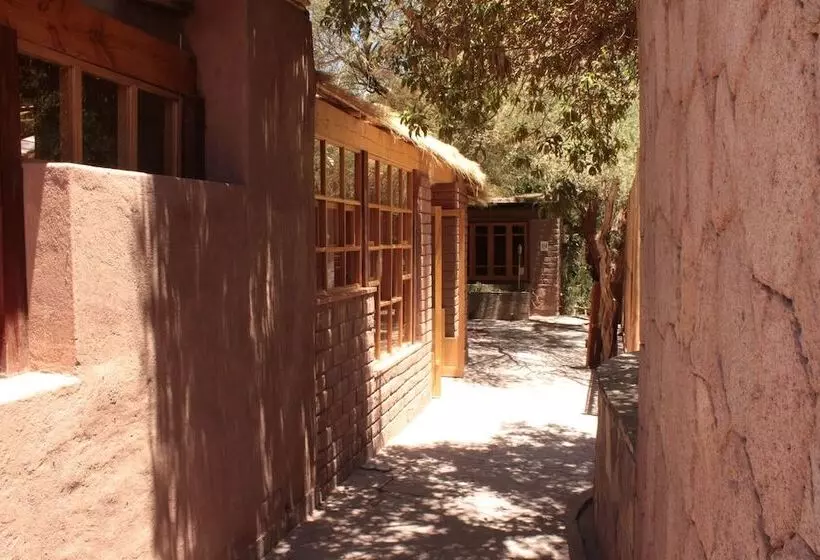 Fotos del hotel Kimal:  5