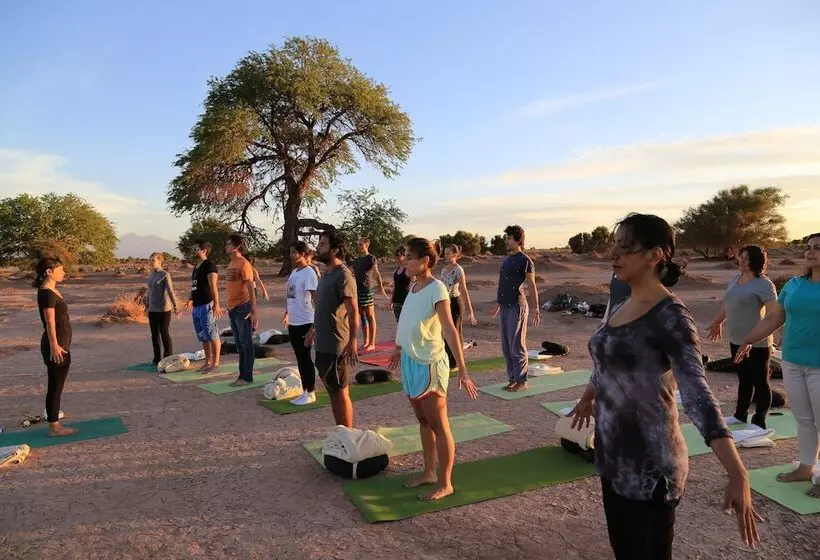 Fotos del hotel Kimal:  8