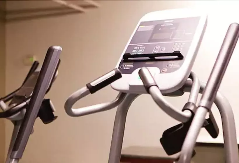 Fotos del hotel Le Dauphin Montréal Centre-ville:  21