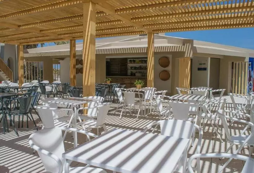 Fotos del hotel Oasis Praiamar:  4