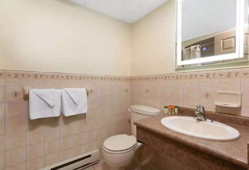 Fotos del hotel Super 8 By Wyndham Niagara Falls By The Falls:  3