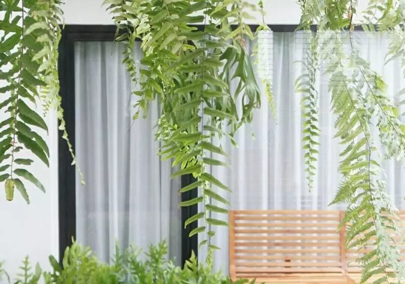 Fotos del hotel Bossotel Chiang Mai:  19