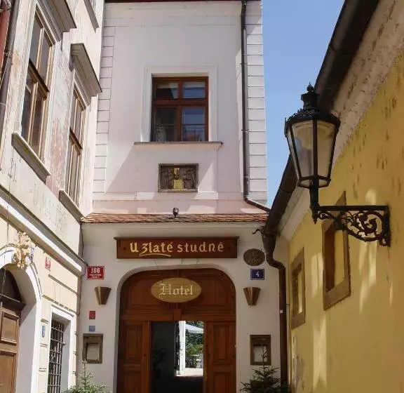 Fotos del hotel Golden Well:  5