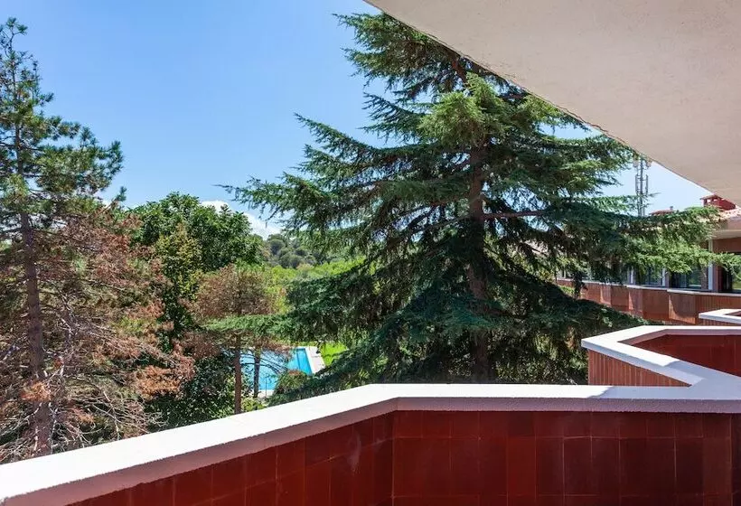 Fotos del hotel Montserrat  & Training Center:  25