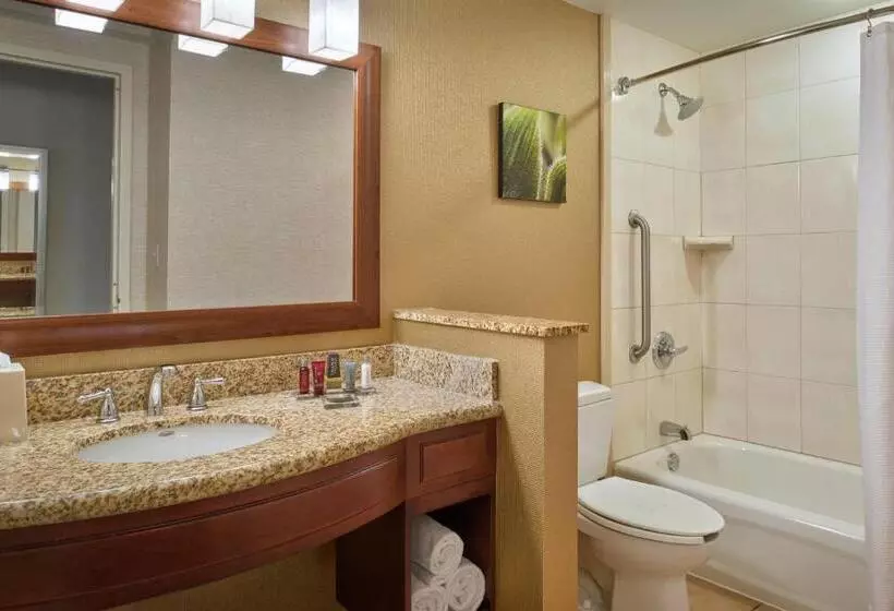 Fotos del hotel Chicago Marriott Midway:  20