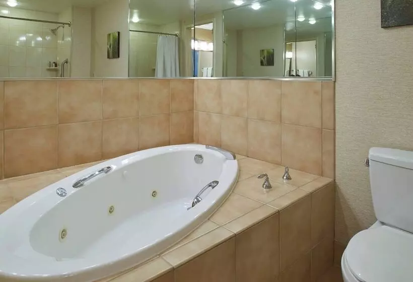 Fotos del hotel Chicago Marriott Midway:  15