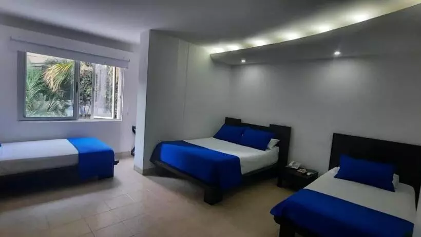 Fotos del hotel Mediterraneo:  16