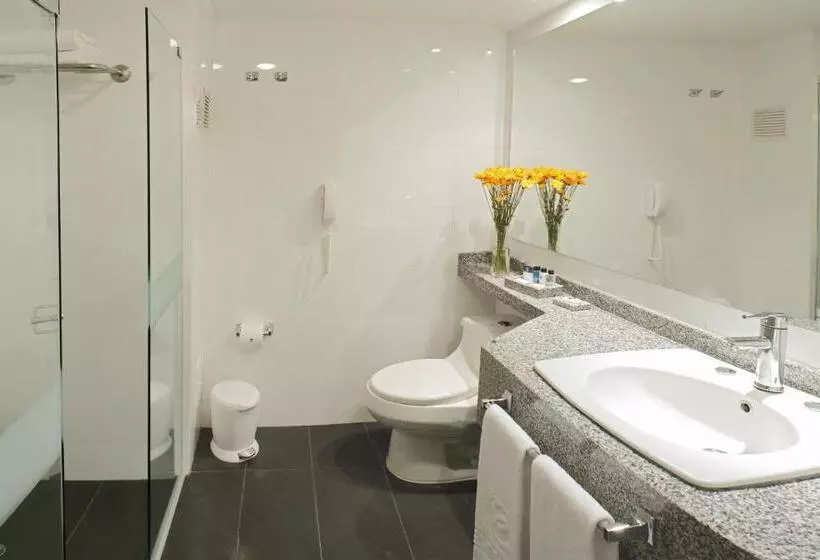 Fotos del hotel Estelar Santamar Hotel & Centro De Convenciones:  10