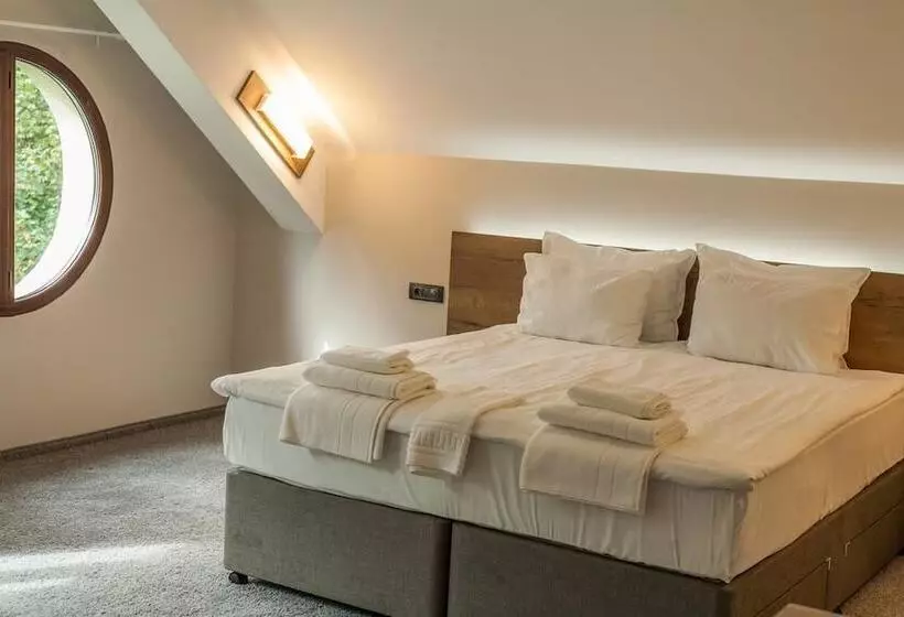 Fotos del hotel Hugo:  21