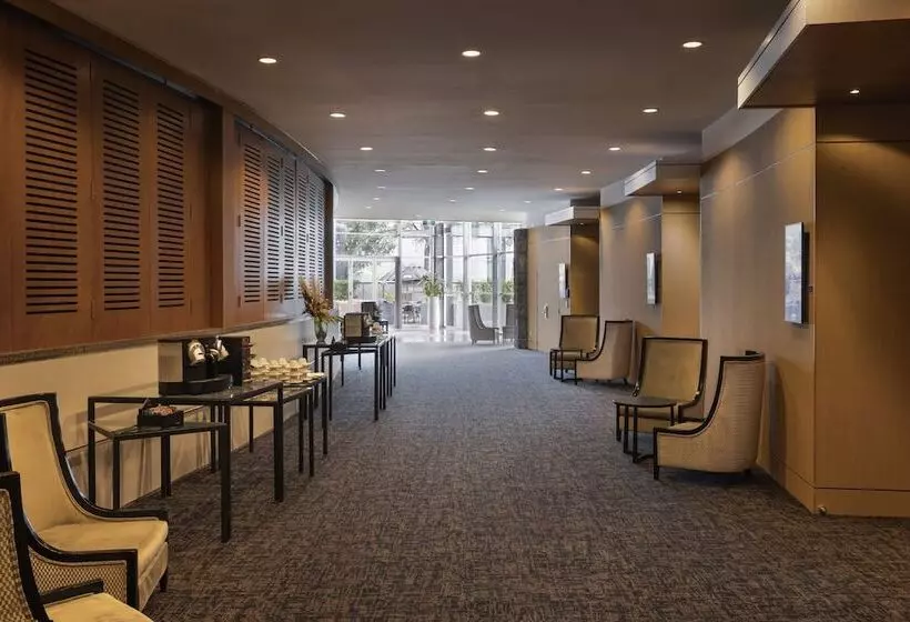 Fotos del hotel Ibis Auckland Ellerslie:  9