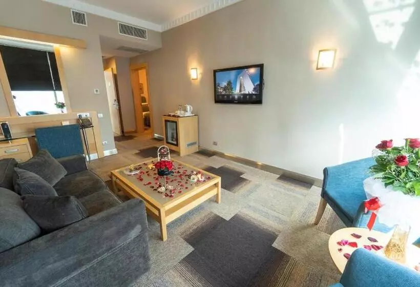 Fotos del hotel Metropolitan S Ankara:  21