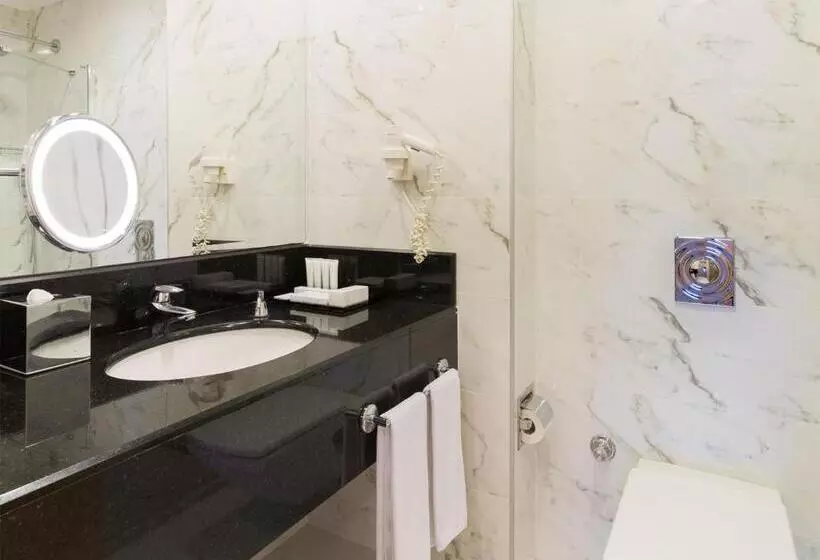 Fotos del hotel Metropolitan S Ankara:  7