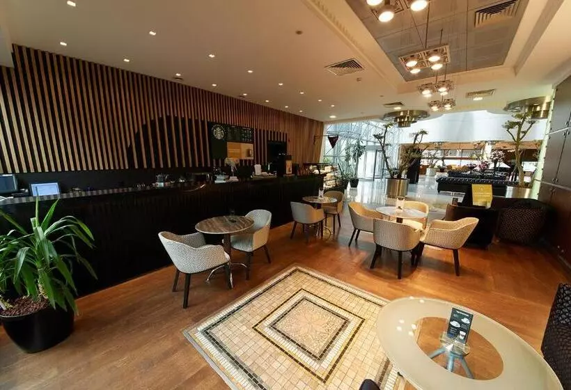 Fotos del hotel Metropolitan S Ankara:  13