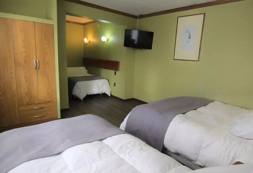 Fotos del hotel Saltos Del Paine:  24