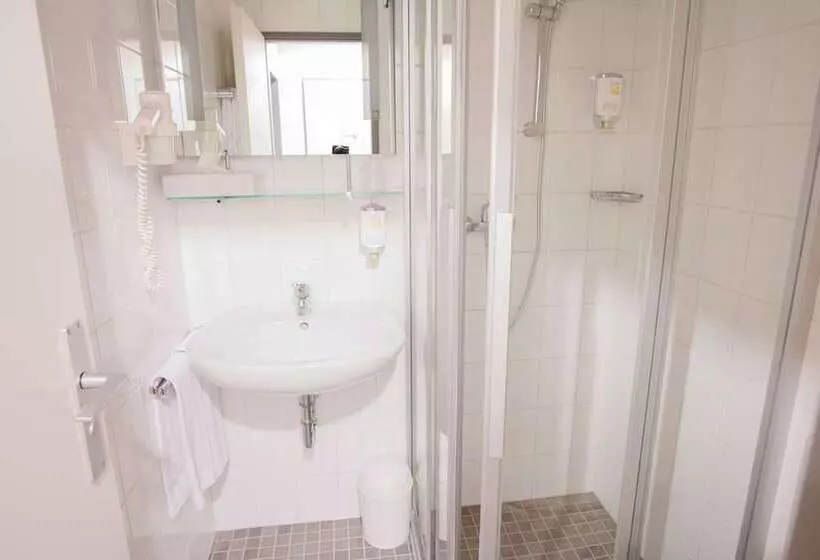 Fotos del hotel Senator Hotel Frankfurt:  7