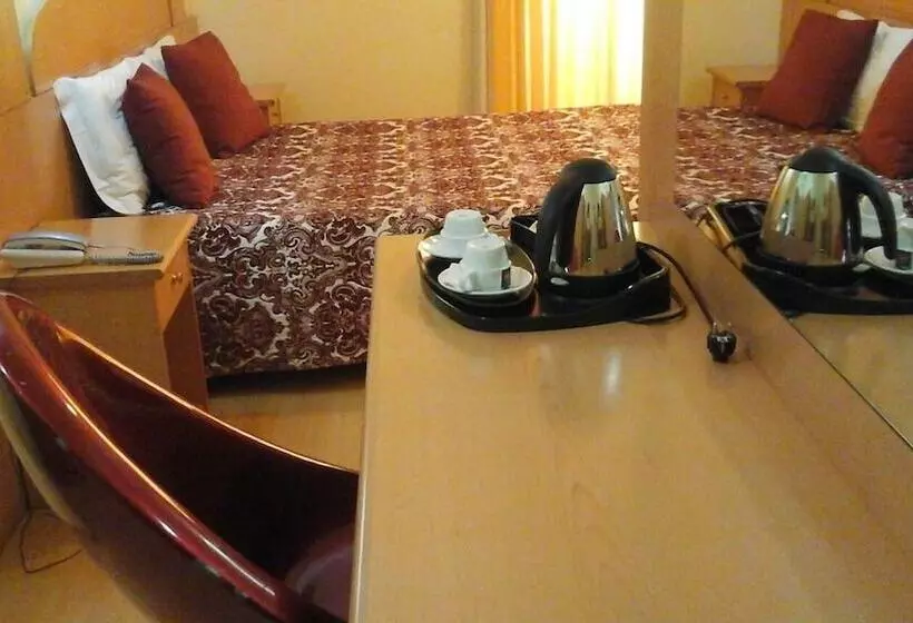 Fotos del hotel Solneve:  14