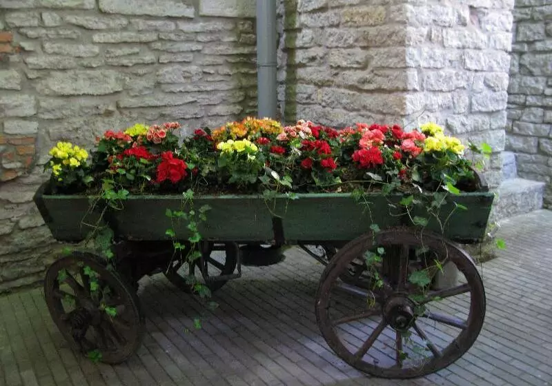 Fotos del hotel St.olav:  14