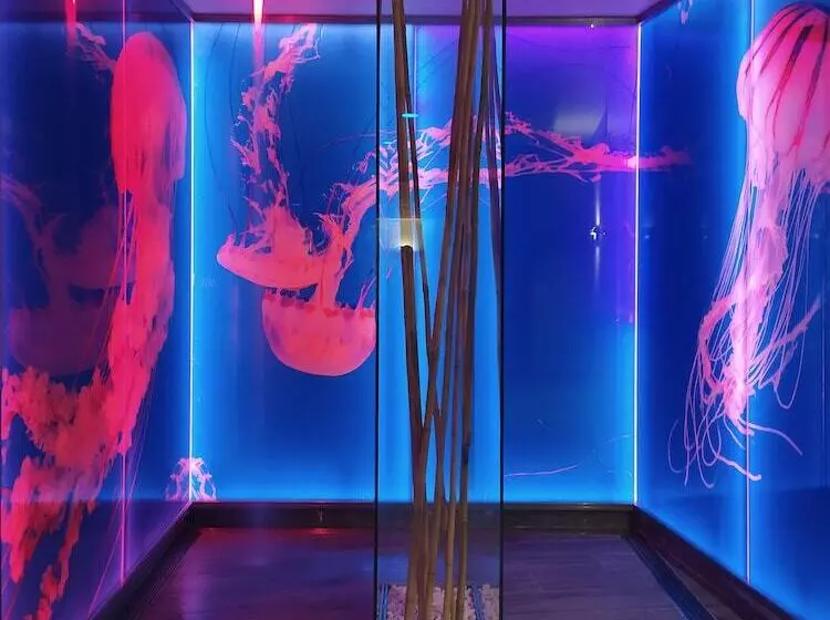 Fotos del hotel Spa Porta Maris By Melia:  56