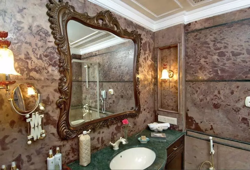 Fotos del hotel Shiv Vilas Resorts:  8