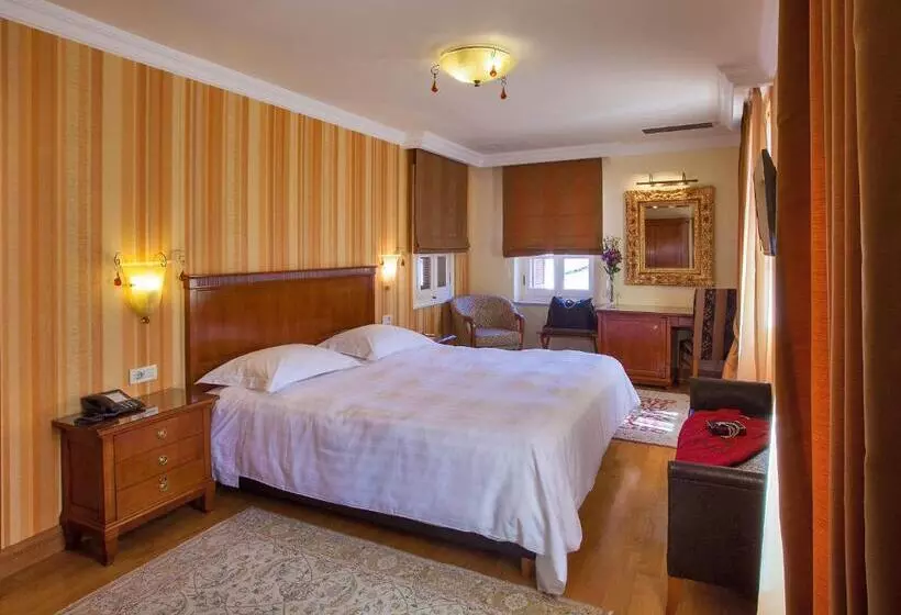 Fotos del hotel Aetoma:  8