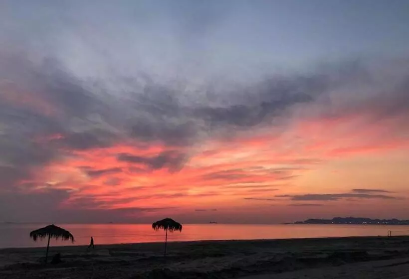 Fotos del hotel Benilva:  12