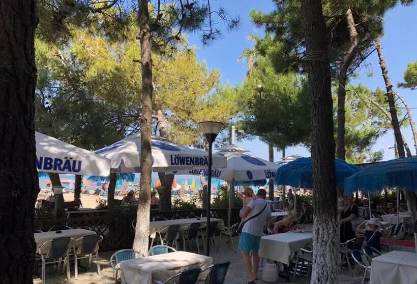 Fotos del hotel Benilva:  11