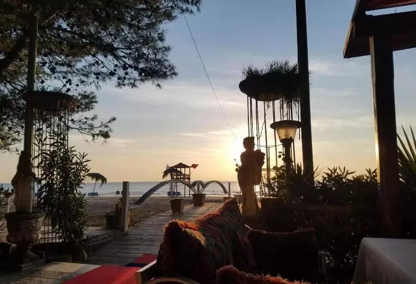 Fotos del hotel Benilva:  23