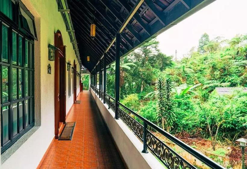 Fotos del hotel Casadela Rosa:  3