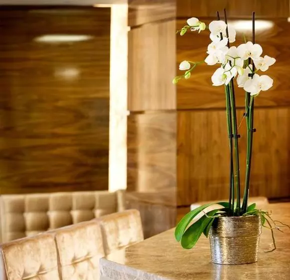 Fotos del hotel Dovitel Boutique:  25