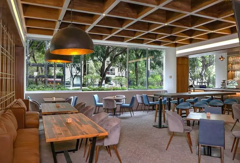 Fotos del hotel Four Points By Sheraton Mexico City Colonia Roma:  16