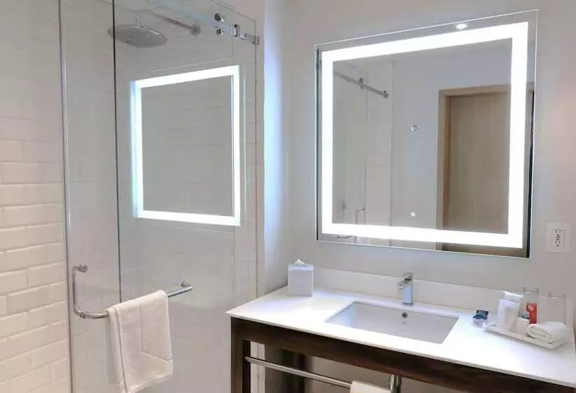 Fotos del hotel Four Points By Sheraton Mexico City Colonia Roma:  13