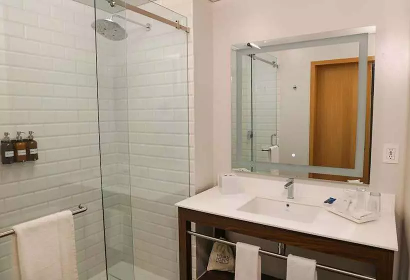 Fotos del hotel Four Points By Sheraton Mexico City Colonia Roma:  7