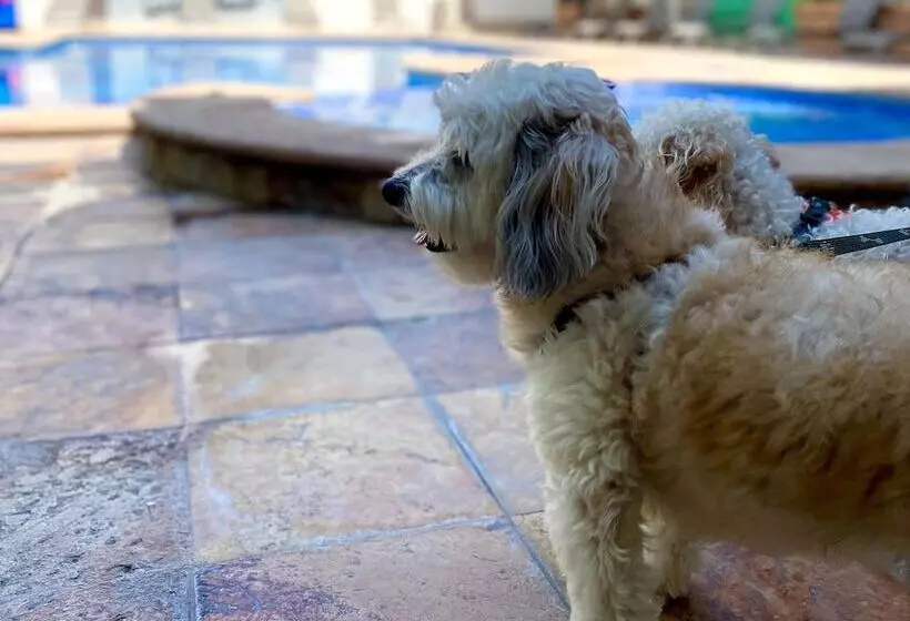 Fotos del hotel Quality Inn Mazatlan:  9