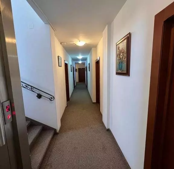 Fotos del hotel Andy:  10