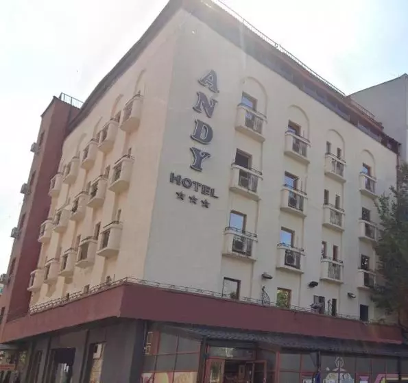 Fotos del hotel Andy:  1
